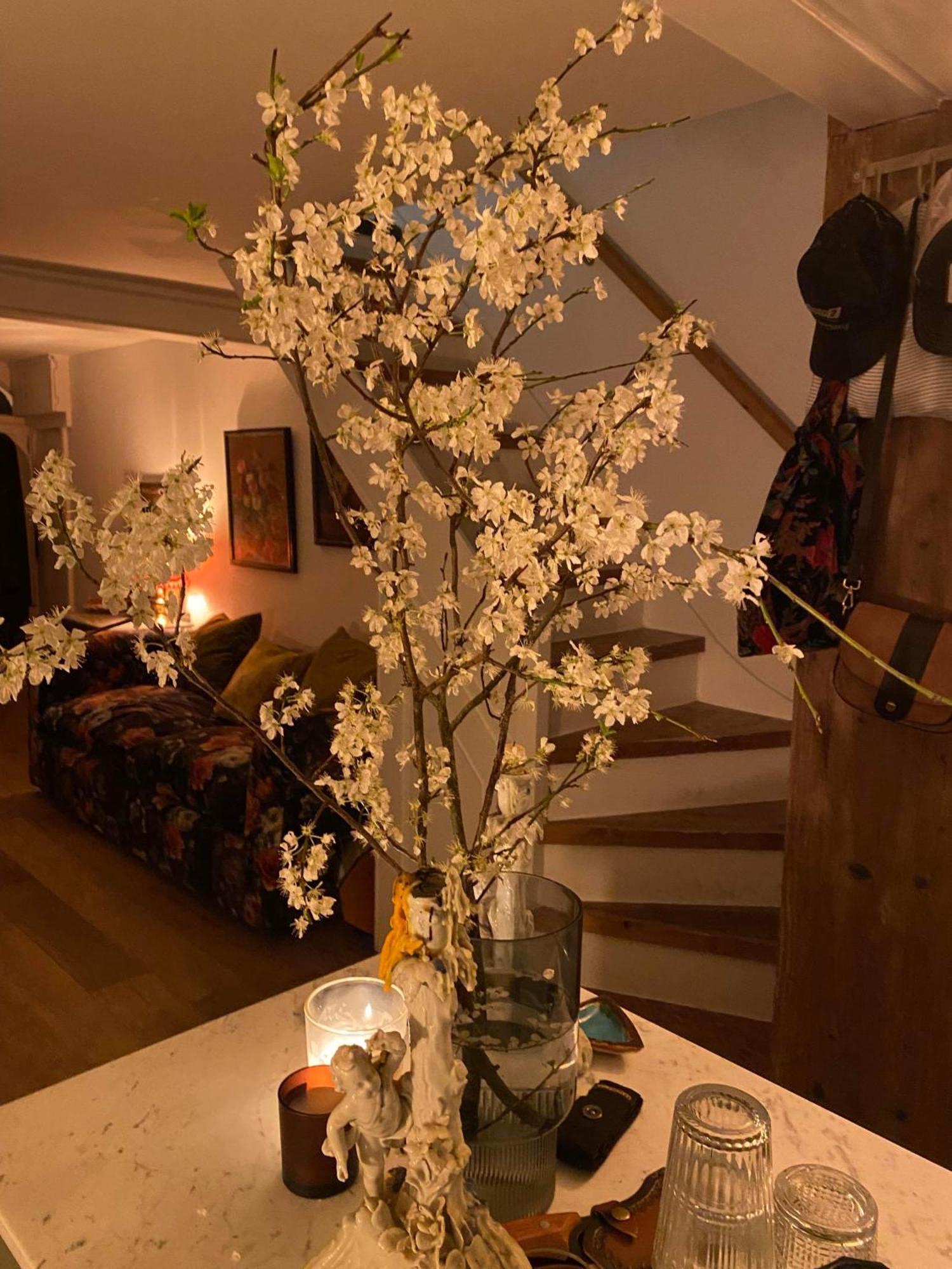 Stylish & Cosy Boutique Townhouse 1 Bedroom, 1 Sofa Bed - Sleeps 4 크리스트처치 외부 사진